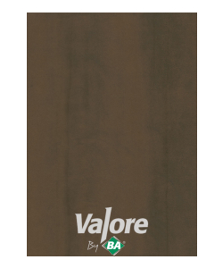 Galvano Bronze Doors